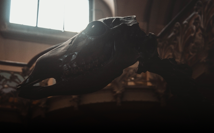 The taxidermist			